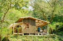 森の学校みっけ